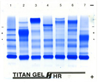 Titan Gel High Resolution Proteins